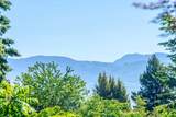 35210 Rockwell Drive - Photo 8