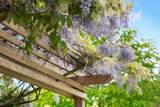 13808 19A Avenue - Photo 38
