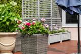 13808 19A Avenue - Photo 39