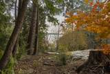 4778 Marine Drive - Photo 32