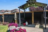 46481 Ranchero Drive - Photo 31