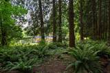 2842 130 Street - Photo 32