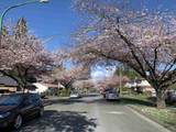 7606 Ulster Street - Photo 1