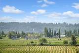 16602 Bell Road - Photo 3