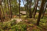 297 Wood Dale Drive - Photo 31