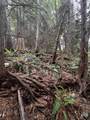 Lot 34 Deerhorn Drive - Photo 3