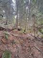 Lot 34 Deerhorn Drive - Photo 4