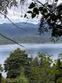 Lot 34 Deerhorn Drive - Photo 5