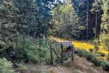 1380 Fernie Road - Photo 35
