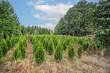 6655 Beharrell Road - Photo 20