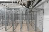 10466 138A Street - Photo 27