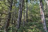Lot 19 Sakinaw Lake - Photo 31
