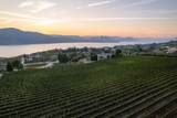 1116 Naramata Road - Photo 6