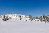 21000 Enzian Way - Photo 3