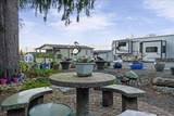 53480 Bridal Falls Road - Photo 4