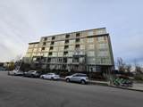 4133 Stolberg Street - Photo 12