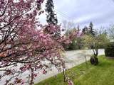 535 Blue Mountain Street - Photo 21