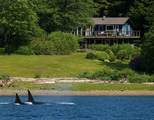 22 Brighton Beach - Photo 1