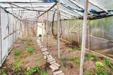 10785 155A Street - Photo 16
