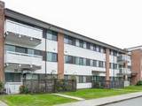 8080 Ryan Road - Photo 1