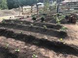 3870 216 Street - Photo 28