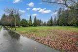1122 King Albert Avenue - Photo 21