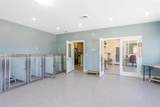4102 Lefeuvre Road - Photo 12