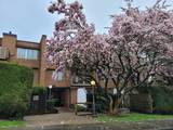 812 Milton Street - Photo 23