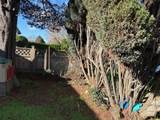 76 62nd Avenue - Photo 4