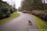 20087 68 Avenue - Photo 12