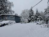 23311 118 Avenue - Photo 14