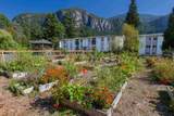 38175 Westway Avenue - Photo 1