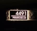 4491 Primrose Lane - Photo 6