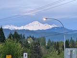 34355 Old Yale Road - Photo 3