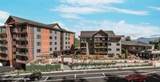 5689 Trident Avenue - Photo 4