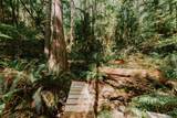 981 Conrad Road - Photo 21