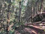 981 Conrad Road - Photo 35