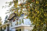 11906 100 Avenue - Photo 40