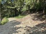 31010 Trans Canada Highway - Photo 20