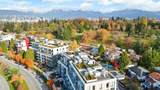 5212 Cambie Street - Photo 30