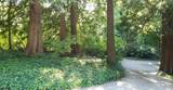 12581 Crescent Road - Photo 5