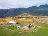 9115 Pemberton Meadows Road - Photo 38