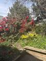 5702 Medusa Street - Photo 33