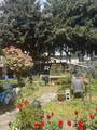 5702 Medusa Street - Photo 37