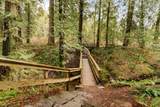 10115 240A Street - Photo 37