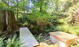 793 Andy's Bay Road - Photo 30
