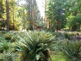 793 Andy's Bay Road - Photo 31