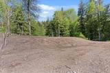 43352 Blue Grouse Lane - Photo 34