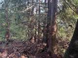 LOT 39 Sandy Hook Road - Photo 2