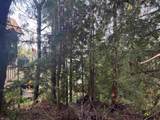 LOT 39 Sandy Hook Road - Photo 3